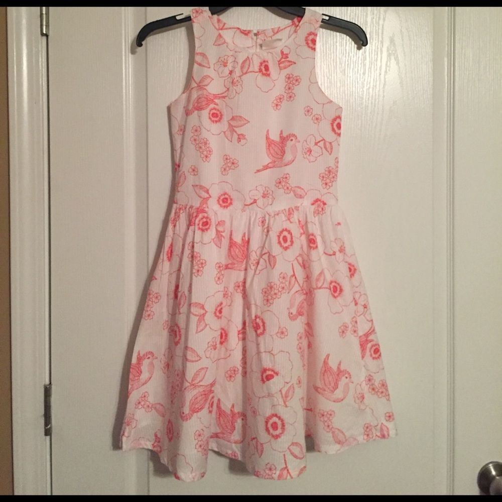 Birdie Coral Dress - Picture 4 of 5